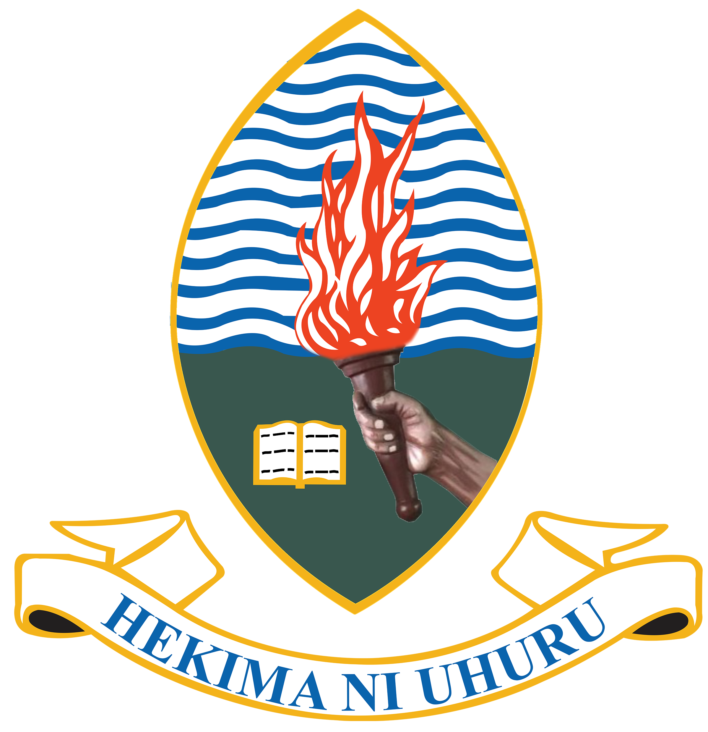 udsm logo